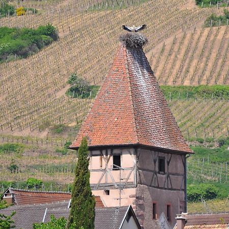 Gite du Vignoble Ammerschwihr Extérieur photo