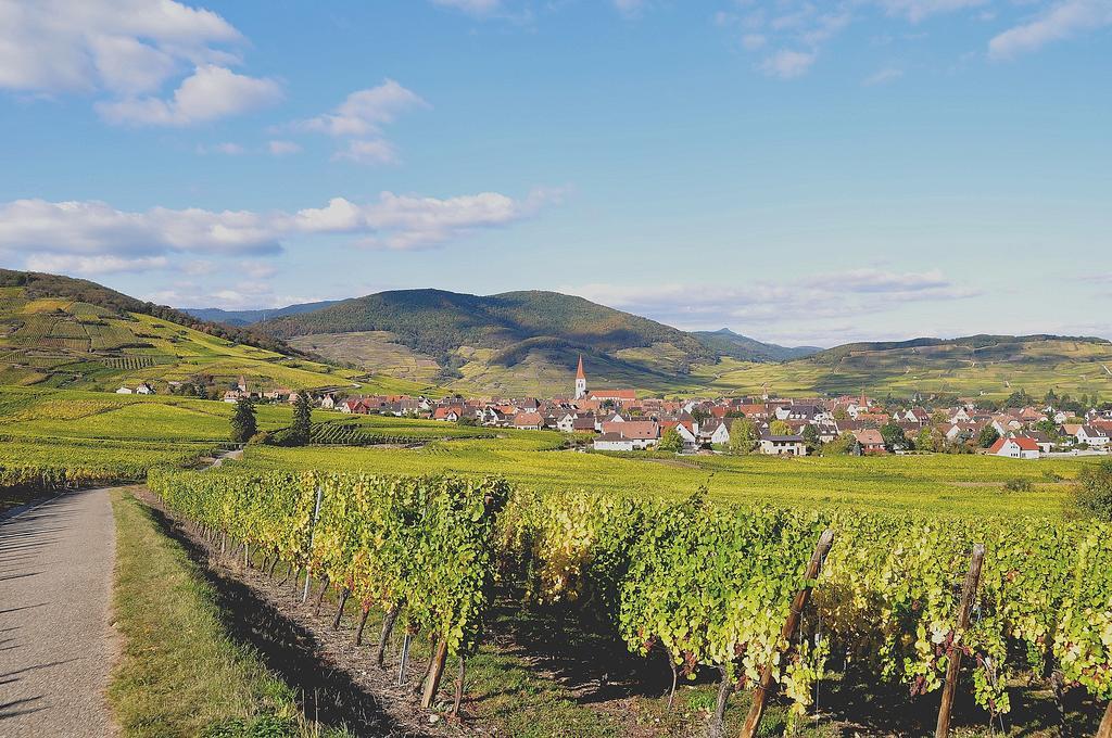 Gite du Vignoble Ammerschwihr Extérieur photo