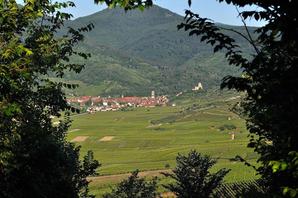 Gite du Vignoble Ammerschwihr Extérieur photo