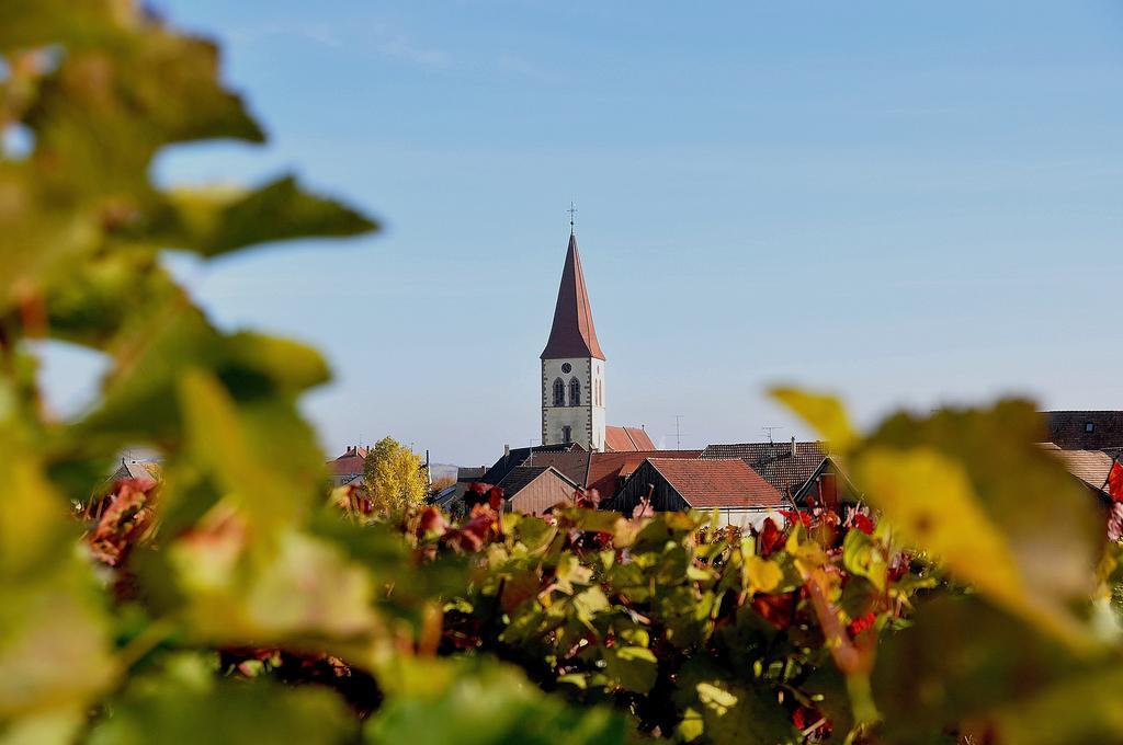 Gite du Vignoble Ammerschwihr Extérieur photo